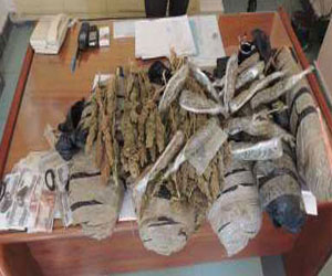   مصر اليوم - حملة أمنية في البحر الأحمر تسفر عن ضبط عاطلين بمواد مخدرة وسلاح ناري