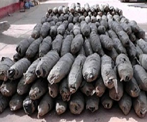   مصر اليوم - ضبط األف كيلو من البانجو فى ضربة أمنية جديدة للاتجار في المخدرات بأسوان