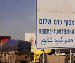 مصر اليوم - 220 شاحنة بضائع لغزة عبر كرم أبوسالم