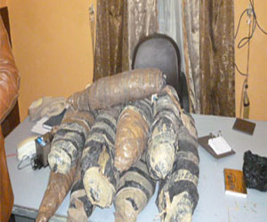   مصر اليوم - ضبط عاطل بحوزته 3 كيلو بانجو وسلاح أبيض بحلوان