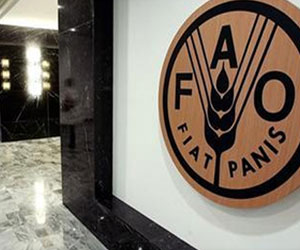   مصر اليوم - فاو مزارعو الفلبين يحتاجون مساعدات عاجلة بسبب إعصار هايان