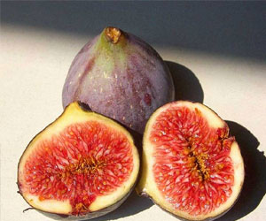   مصر اليوم - خنافس وديدان في بلح وتين يباع في الأسواق البريطانية