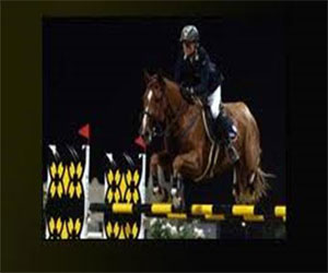   مصر اليوم - انطلاق منافسات بطولة جلوبال تور لقفز الحواجز الخميس