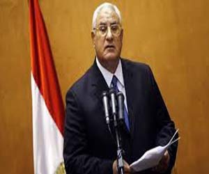   مصر اليوم - منصور يؤكِّد أن ما يحدث عنف ممنهج تمارسه جماعة متطرِّفة