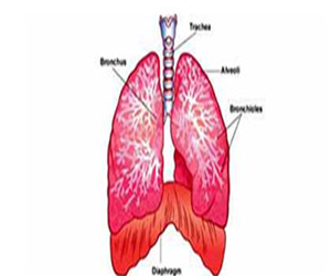   مصر اليوم - مرض السدة الرئوية ثالث سبب لوفاة المدخنين بحلول 2020
