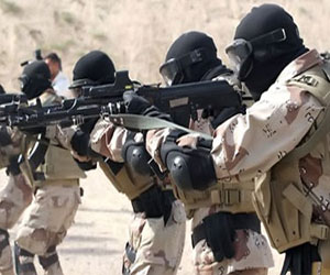   مصر اليوم - القبض على 6 من العناصر الجهادية في القليوبية