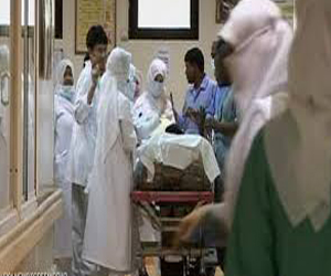   مصر اليوم - تسجيل إصابتين جديدتين بداء الملاريا في قالمة