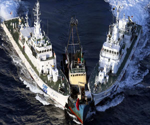   مصر اليوم - الصين تصدر بيانًا بشأن إقامة منطقة بحر الصين الشرقي لتمييز الهوية لأغراض الدفاع الجوي