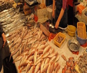   مصر اليوم - سوق السمك: نقص الأسماك المحلية يرفع الأسعار في الكويت