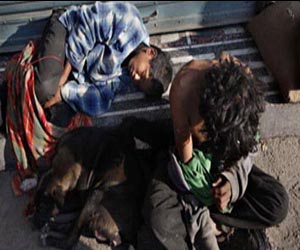   مصر اليوم - 2.5مليار شخص فى العالم بدون دورة مياه صحية