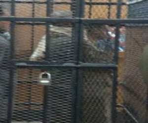   مصر اليوم - جنايات قنا تُفرج عن 39 قيادة إخوانية بكفالة مالية