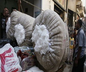   مصر اليوم - ضبط 3 سيارات بكفر الشيخ محملة بـ6980 كيلو قطن الزهر المحظور نقله