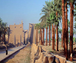   مصر اليوم - الأقصر تستقبل أول فوج سياحي إنكليزي الشهر المقبل