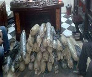 مصر اليوم - ضبط متهم بحوزته 26 كيلو بانجو في البدرشين