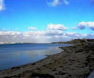   مصر اليوم - اتفاقية تعاون بين الصرف الصحي والبيئة لتطهير بحيرة مريوط بتكلفة 7 ملايين دولار