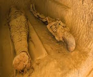   مصر اليوم - العثور على 4 مومياوات آثرية في أسوان حاول مجهولون الاستيلاء عليها