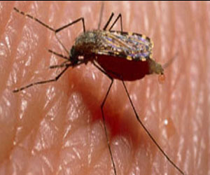   مصر اليوم - ظهور حالات ملاريا حبشية في شرق السودان