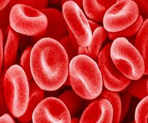   مصر اليوم - علماء صينيون يطورون أداة جديدة لرصد الأورام من خلال فحص الدم