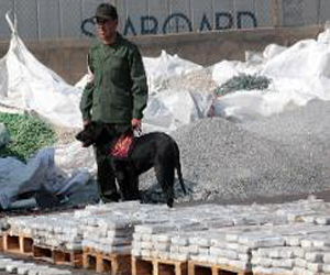   مصر اليوم - فحوصات للانف بالارجنتين لمعرفة ان كان الموظفون يستهلكون المخدرات