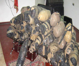   مصر اليوم - ضبط 5 أجولة من نبات البانجو داخل مخزن في جنوب سيناء