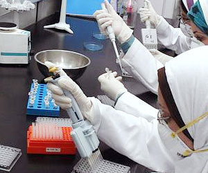   مصر اليوم - الكويت: الحالة الصحية لمرضي كورونا لا تزال غير مستقرة