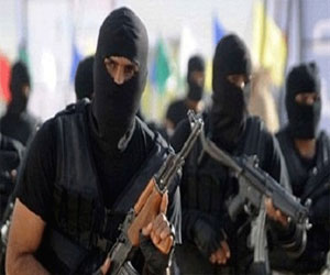   مصر اليوم - ضبط تشكيل عصابي مسلح يتاجر في المواد المخدرة في شبين القناطر