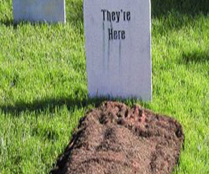   مصر اليوم - مقاهى وسط القبور في ألمانيا للباحثين عن السكينة وراحة البال