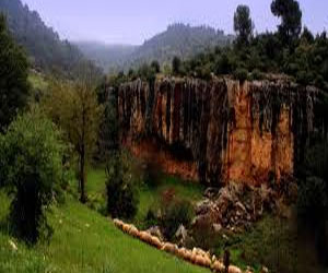   مصر اليوم - الأردن يبحث تفعيل الأتفاقيات الزراعية مع رومانيا