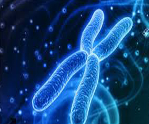   مصر اليوم - ورشة للكشف عن فيروس فقدان المناعة المكتسبة يومي 26 و 27 نوفمبر