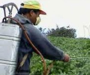   مصر اليوم - وزير الزراعة يرعى الخميس تخريج متدربين أفارقة