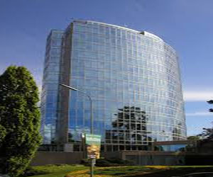   مصر اليوم - منظمة اممية تطلق قاعدة بيانات على الأنترنت لأختراعات صديقة للبيئة