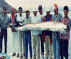   مصر اليوم - إكتشاف أطول سمكة عظمية يصل طولها إلى 11 مترًا