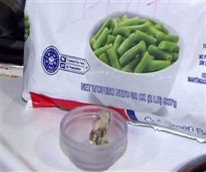   مصر اليوم - أميركية تعثر على رأس أفعى في كيس فاصولياء