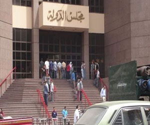   مصر اليوم - الدعوى القضائيَّة الأولى للمطالبة بوقف تطبيق قانون التَّظاهر