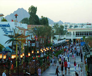   مصر اليوم - 50 فنانًا وناقدًا من أوروبا يلتقون في شرم الشيخ دعمًا للسياحة