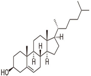   مصر اليوم - الكوليسترول يزيد من مخاطر سرطان الثدي