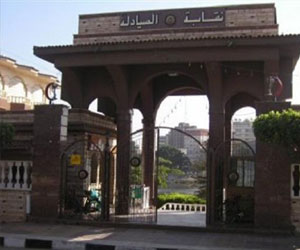   مصر اليوم - صيادلة مصر تؤكّد سَعْي الدّقهلية لتطبيق الإكلينكيّة