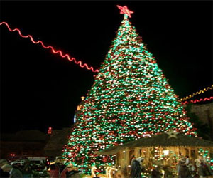   مصر اليوم - إضاءة شجرة عيد الميلاد في بيت لحم وسط احتفالية كبرى