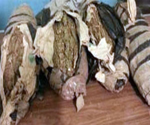   مصر اليوم - ضبط نصف طن بانجو داخل سيارة نصف نقل بطريق مصر إسكندرية الزراعي