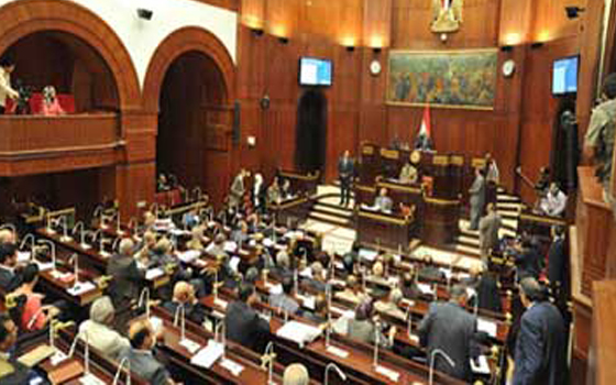   مصر اليوم - سياسيون مصريون يرحِّبون بإقرار لجنة الخمسين  مشروع الدستور الجديد