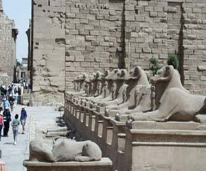   مصر اليوم - مهرجان الفن الشعبيّ للطلائع في الأقصر ينطلق الجمعة