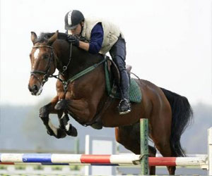   مصر اليوم - الفارس السوري فادي زبيبي يتوج ببطولة العيد الوطني لدولة الإمارات