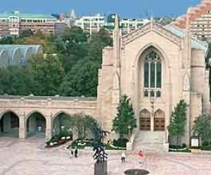 مصر اليوم - دراسة أميركيّة تؤكد دور دار الإفتاء المصريّة في حفظ الاستقرار