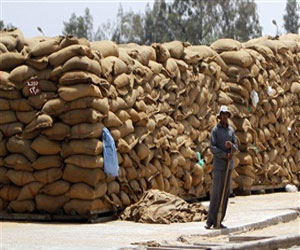   مصر اليوم - مصر تتعاقد على شراء 60 ألف طن قمح روماني