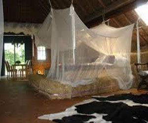 مصر اليوم - الفنادق الأكثر غرابة في العالم