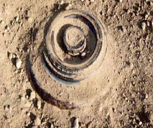   مصر اليوم - انفجارُ لغمٍ جديّدٍ في جبالِ الشّعانبي التّونسيّة