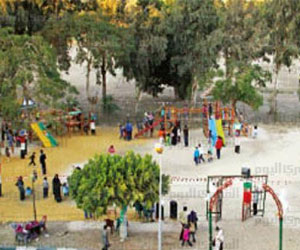 مصر اليوم - وزارة الشباب تعقد لقاءً حواريًا في مركز الجزيرة الأحد