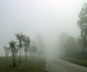   مصر اليوم - تعليمات ببقاء التلاميذ في الداخل بعد تلوث الهواء في شنغهاي