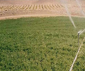   مصر اليوم - مجمّع زراعيّ اصطناعي جديد في توشكي على مساحة 100 ألف فدَّان