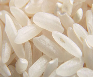   مصر اليوم - اكتشاف جين جديد يساعد على زيادة إنتاج الأرز فى اليابان